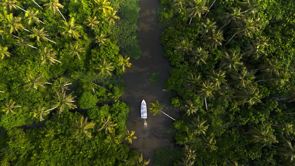 Discover the lush greenery and tranquil waters of the Alappuzha backwaters in Kerala, India.